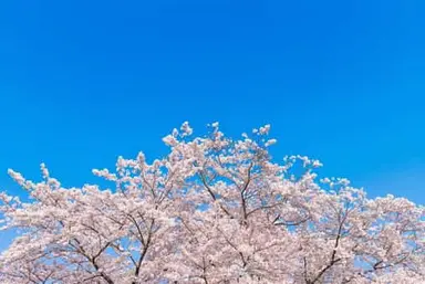 萩広史