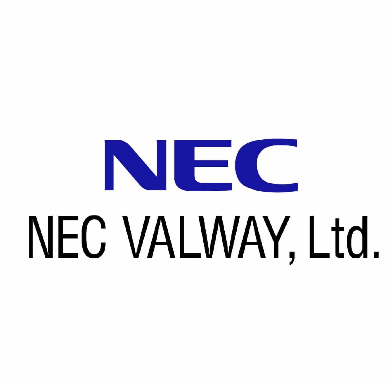 NECVALWAY株式会社　事業戦略G