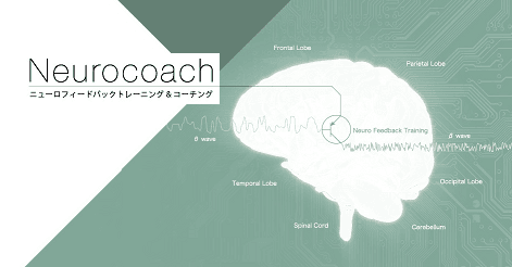 Learning and Peafofmance コンサルティング㈲