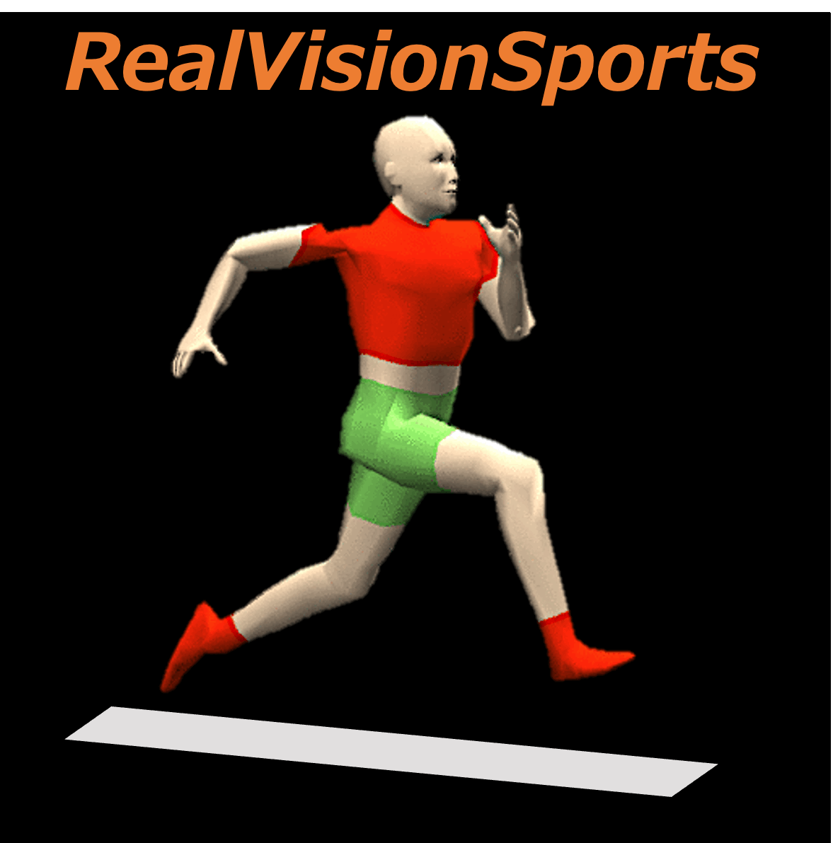 リアルビジョンスポーツ株式会社