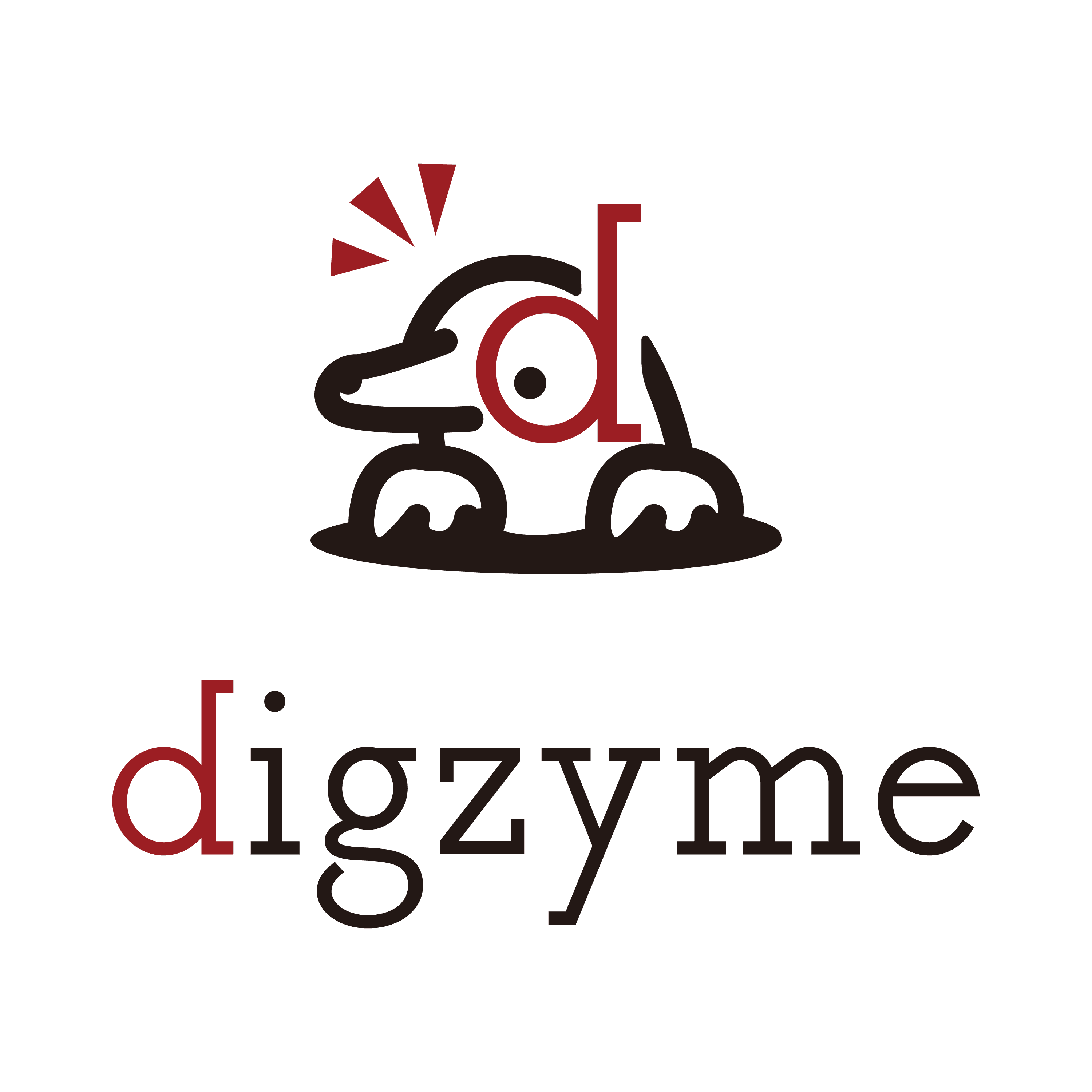 株式会社digzyme