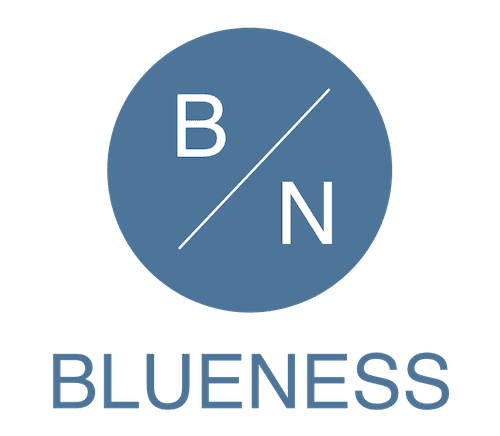 株式会社BLUENESS