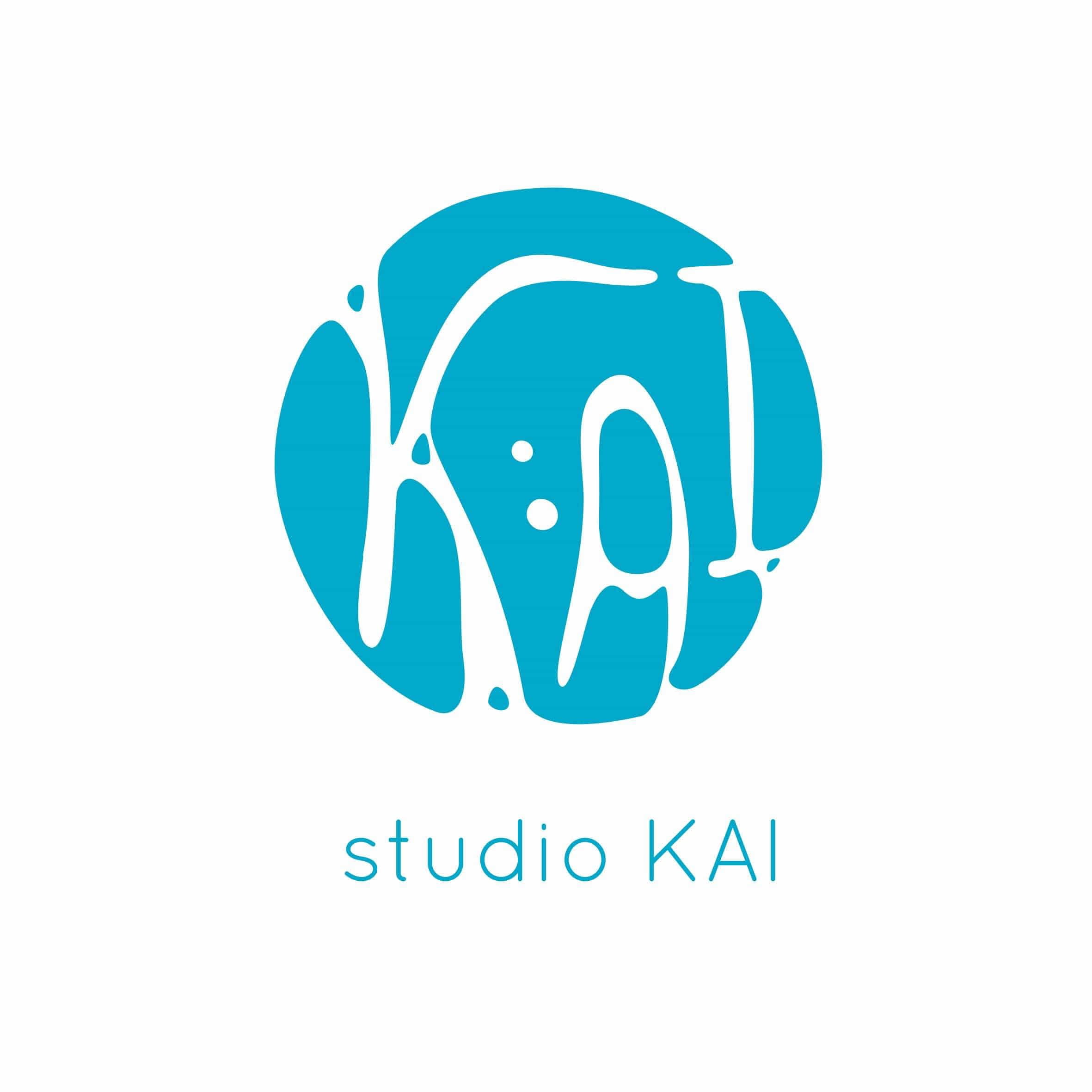 合同会社studioKAI