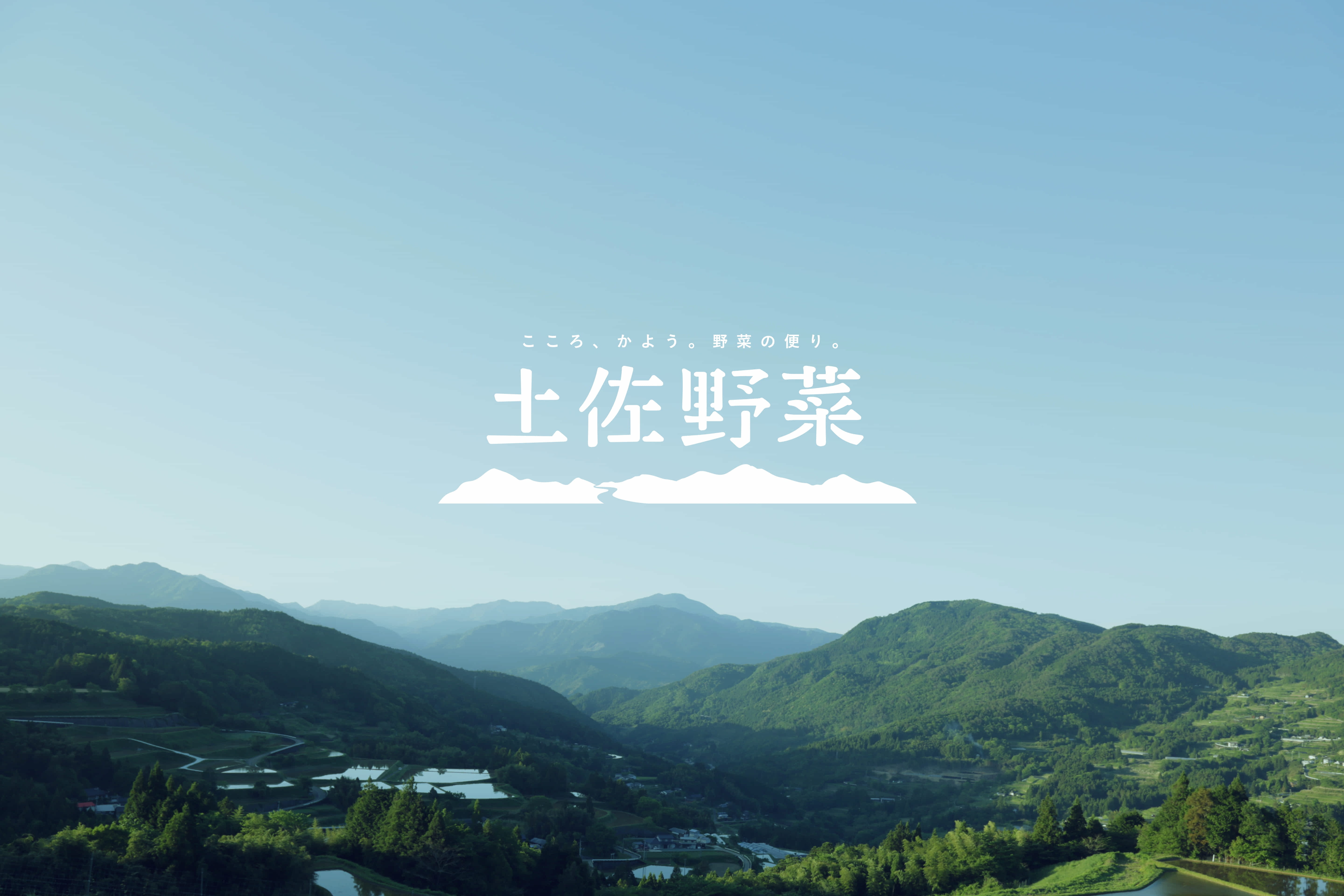 プライム株式会社