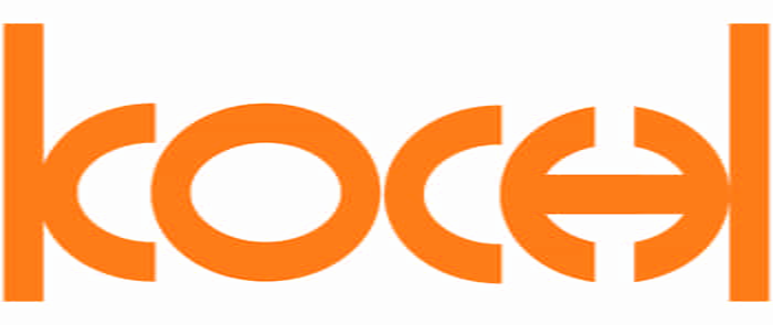 株式会社KOCHI