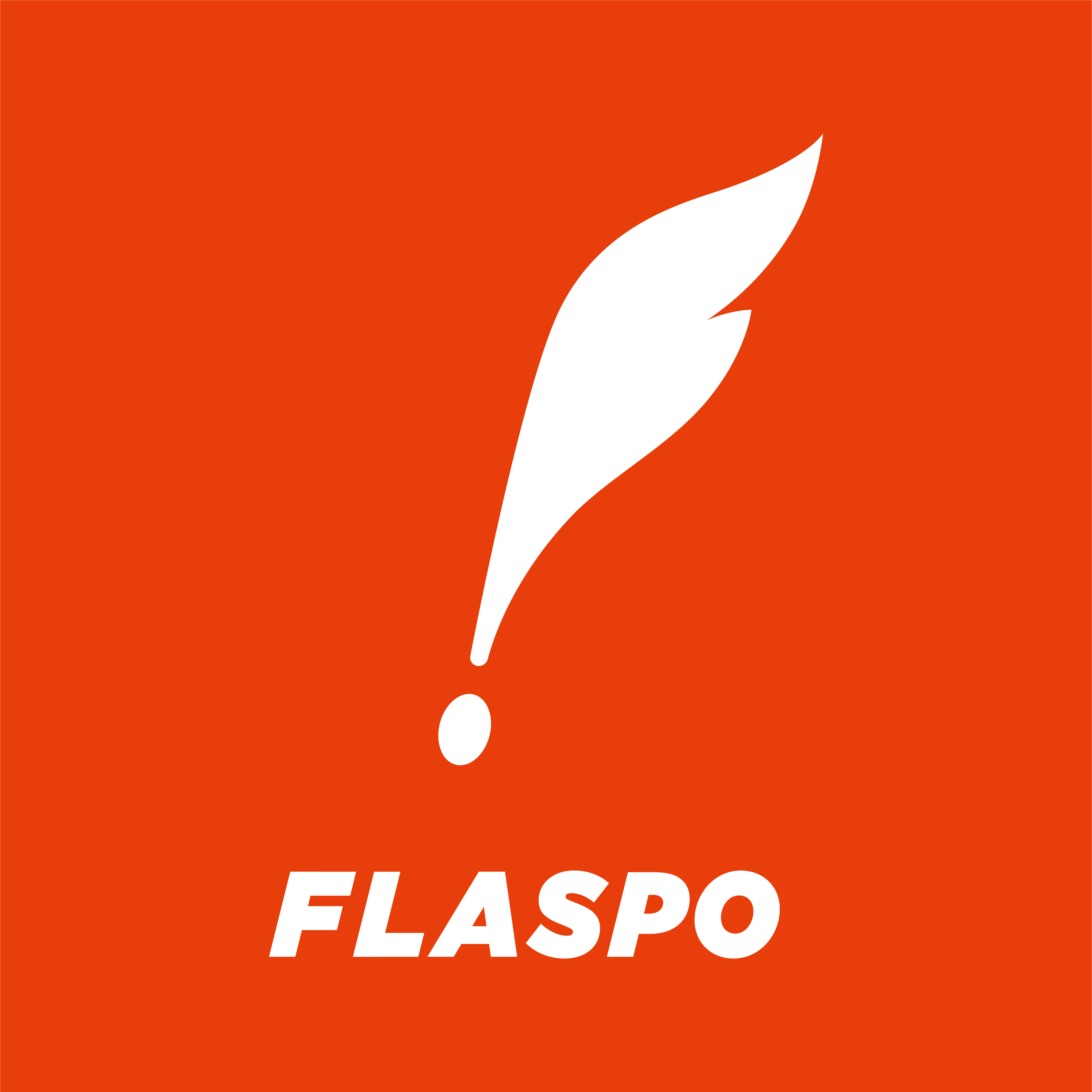 株式会社FLASPO