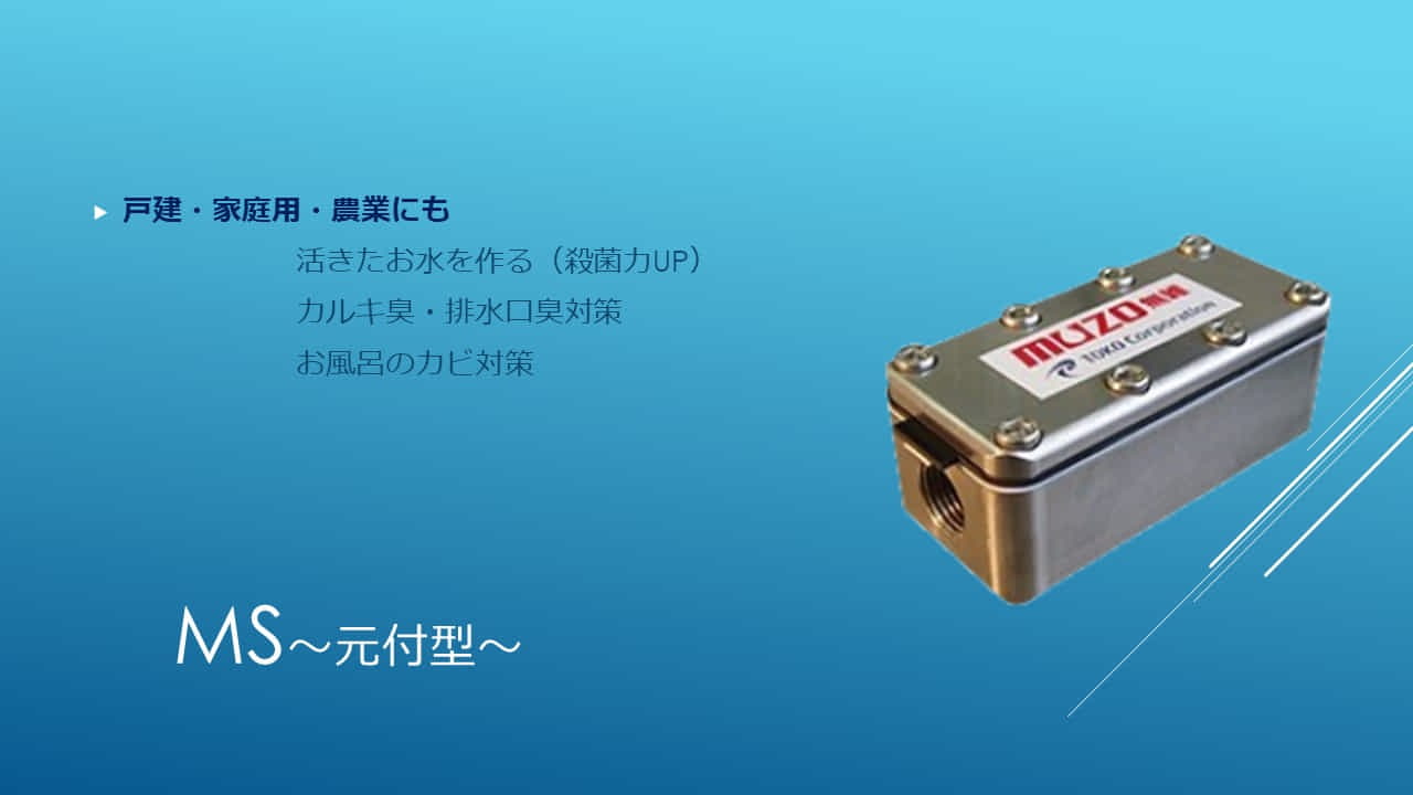 家庭用無雑　ＭＳ