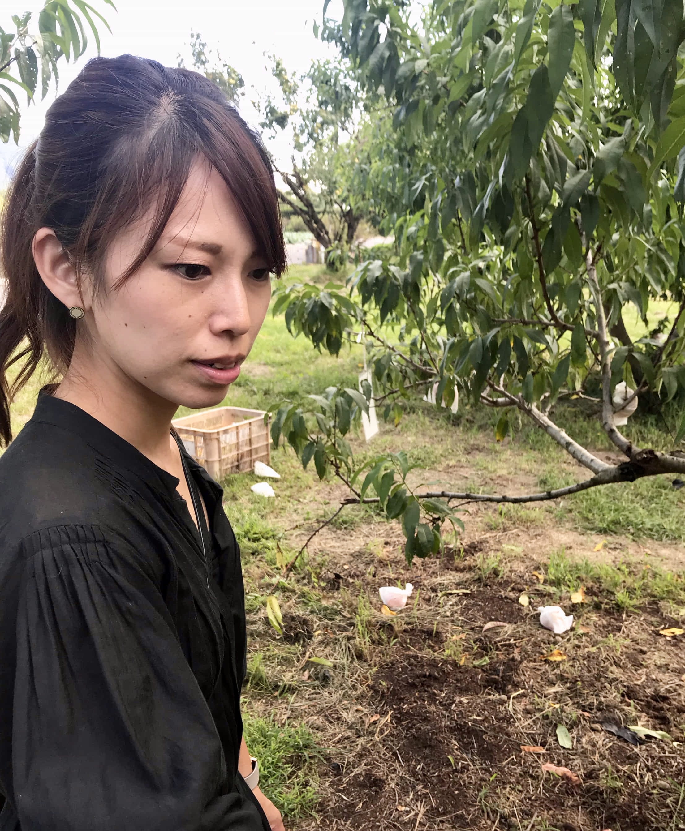 濱口真央