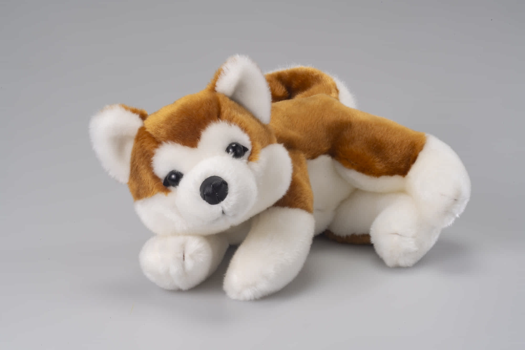 2019年2月発売「なでなでワンちゃん秋田犬」