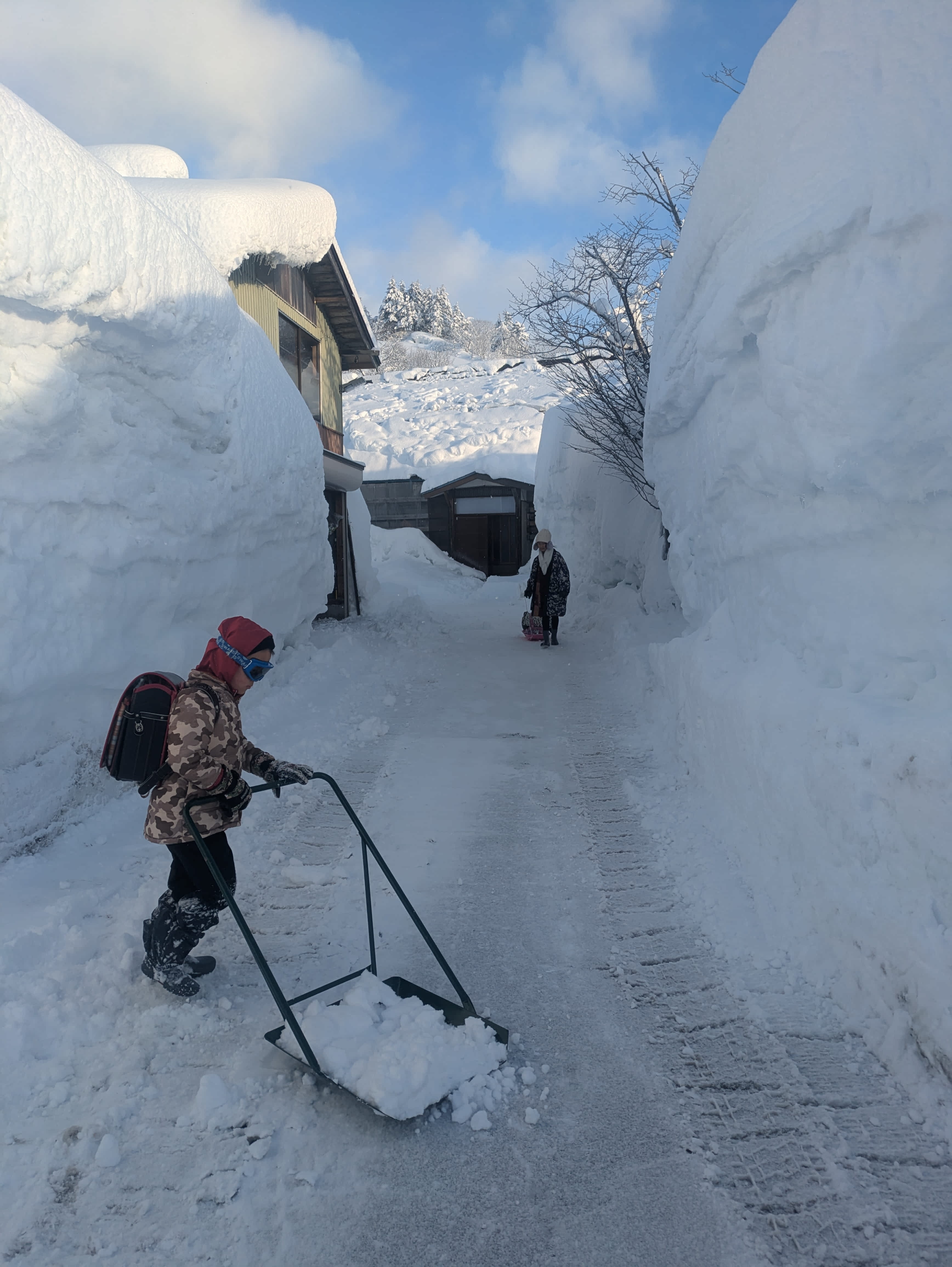 2024年度冬豪雪地で暮らすこしゃるの家族