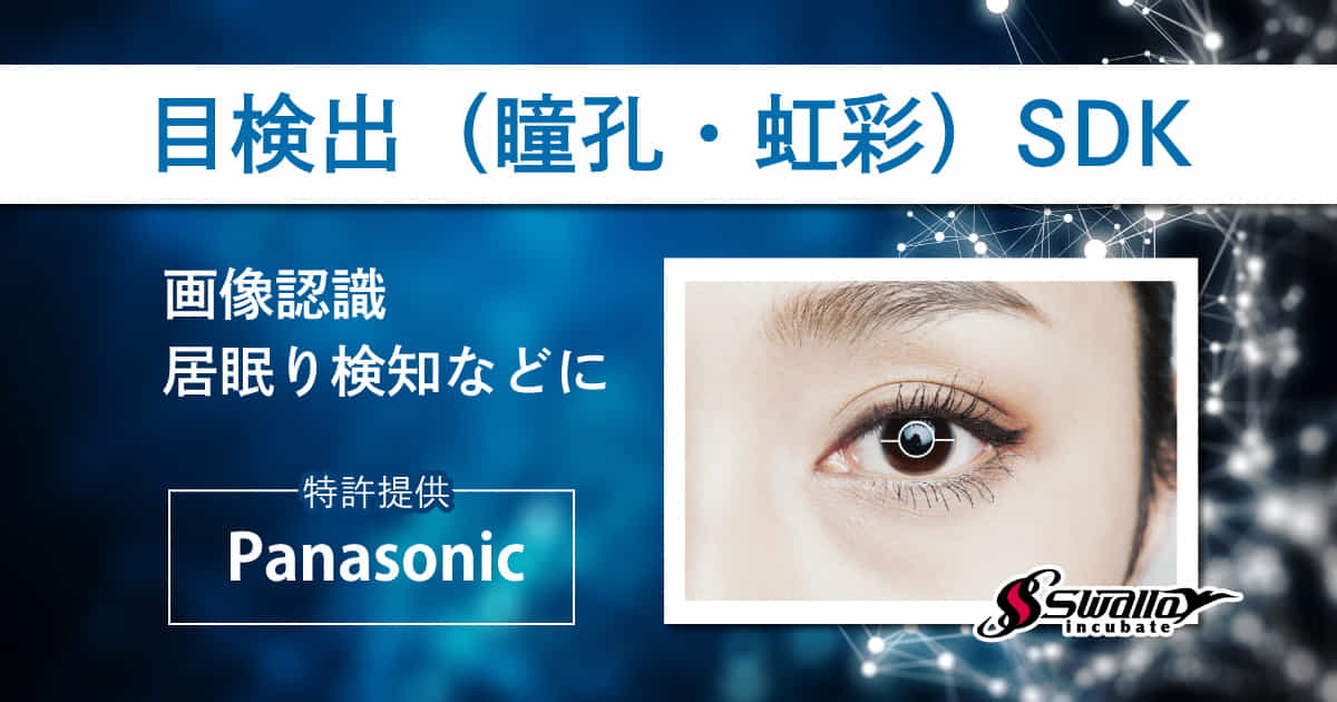 目検出技術（https://pupil.pas-ta.io/）