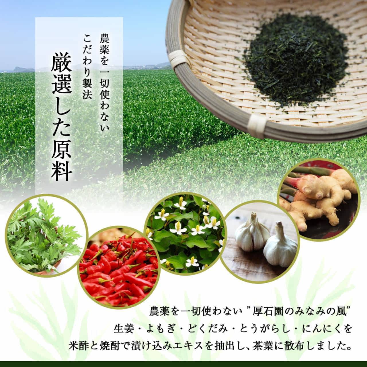 農薬を一切使わず育てています