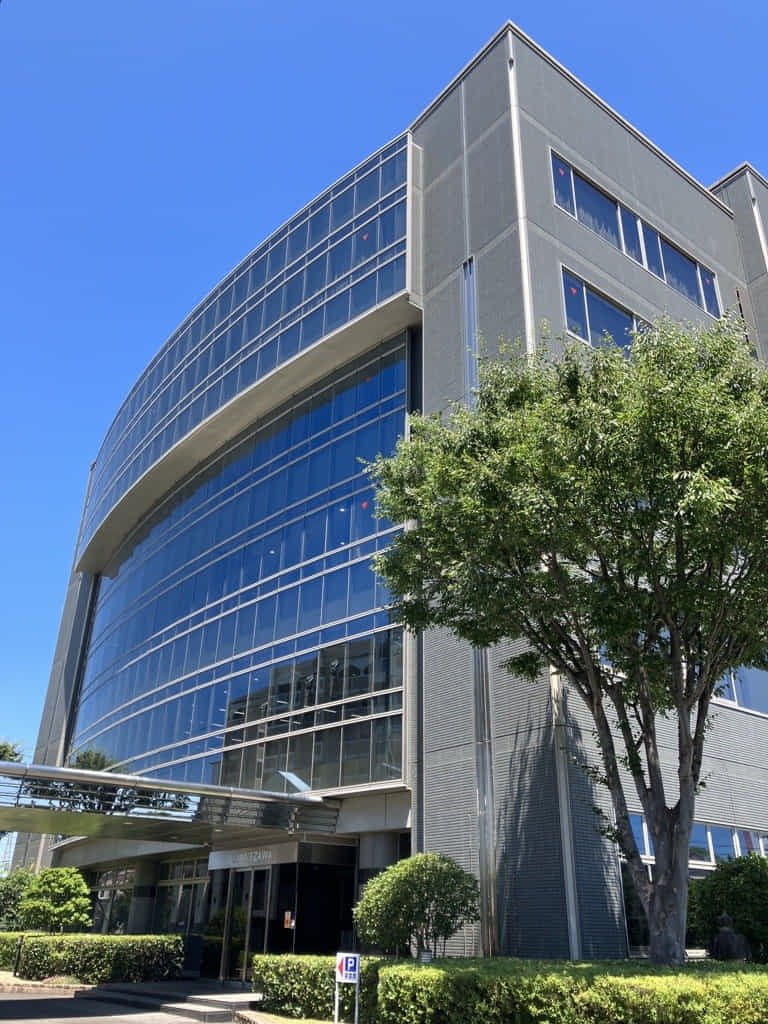 株式会社MINEZAWA