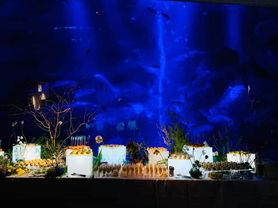 Enlighten Asia 2019 / Food catering & design