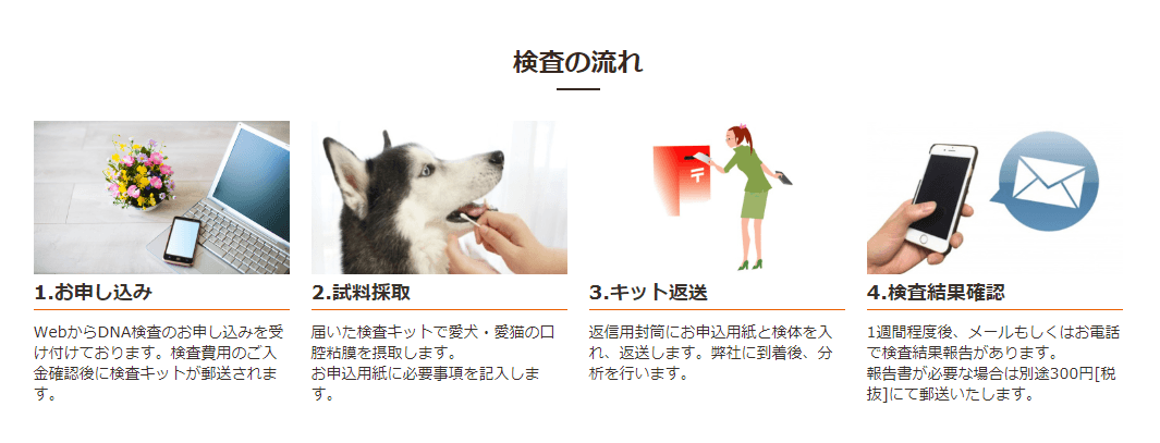 検査流れ