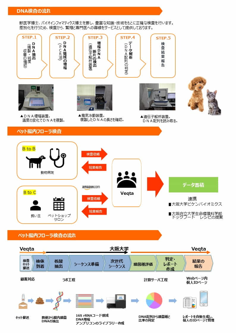 VEQTA　システム概要