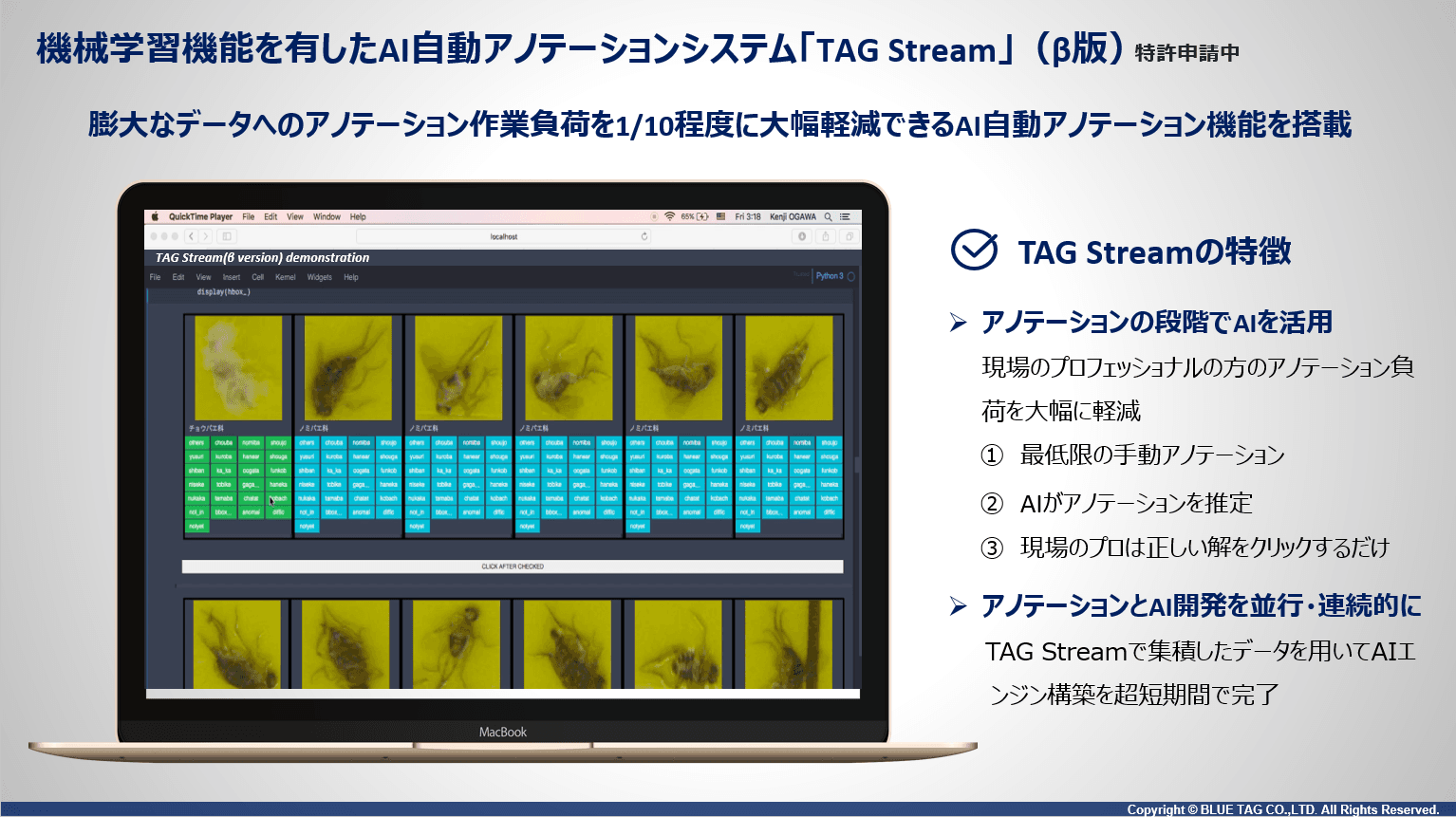 AIアノテーション支援ツール「TAG Stream(β版)」