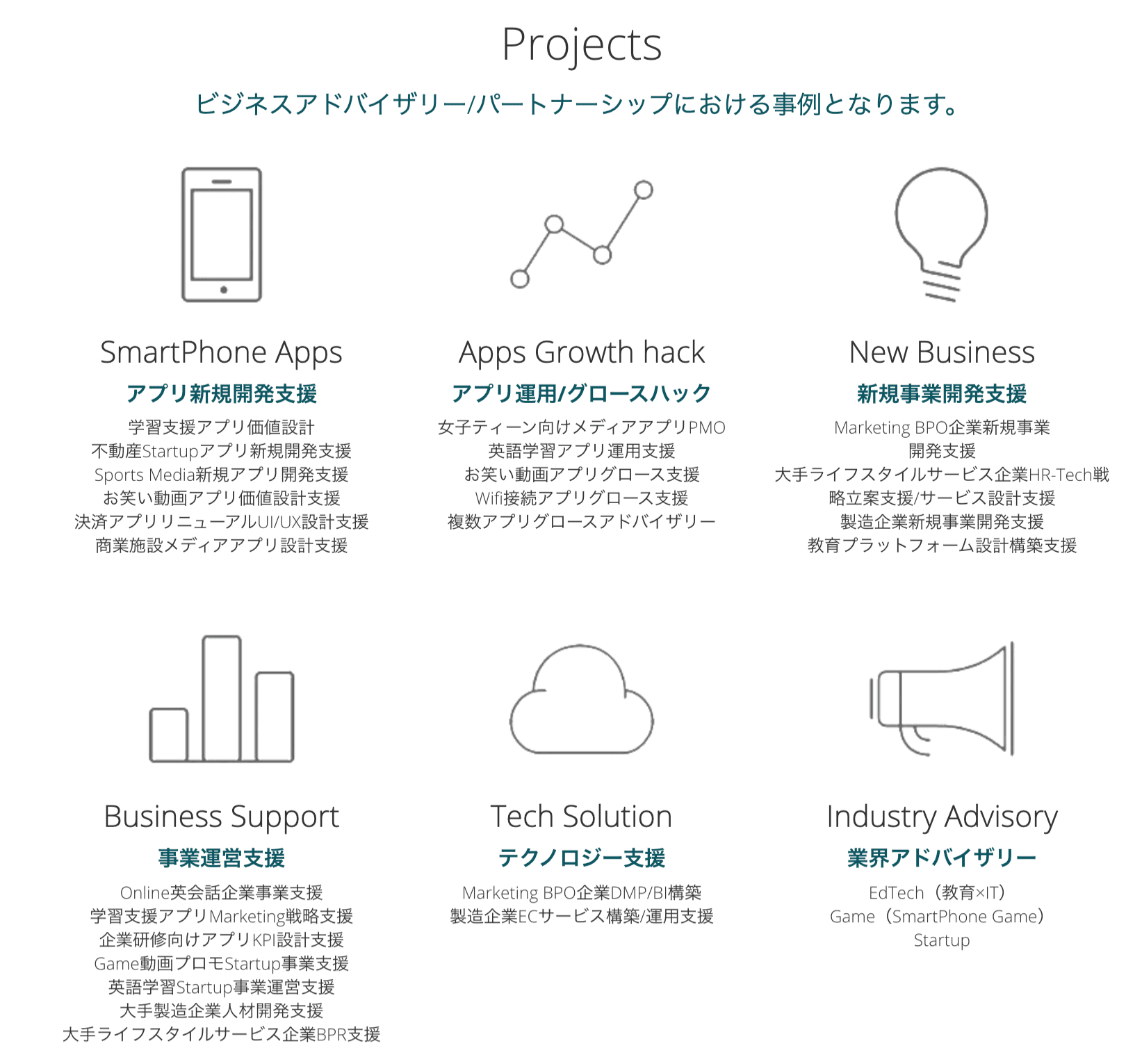 ビジネスアドバイザリー実績（抜粋）