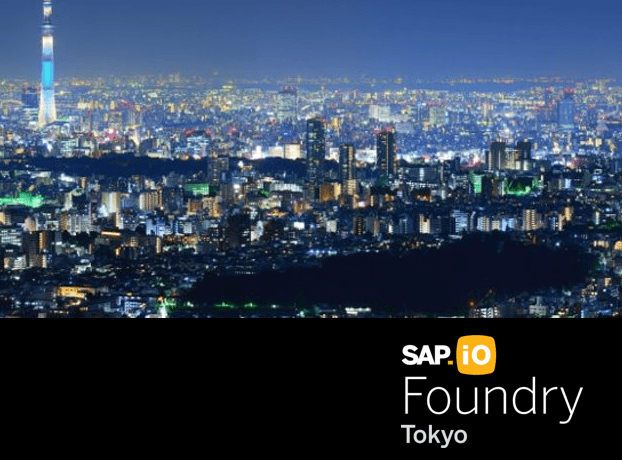 世界11都市で実績があるプログラム