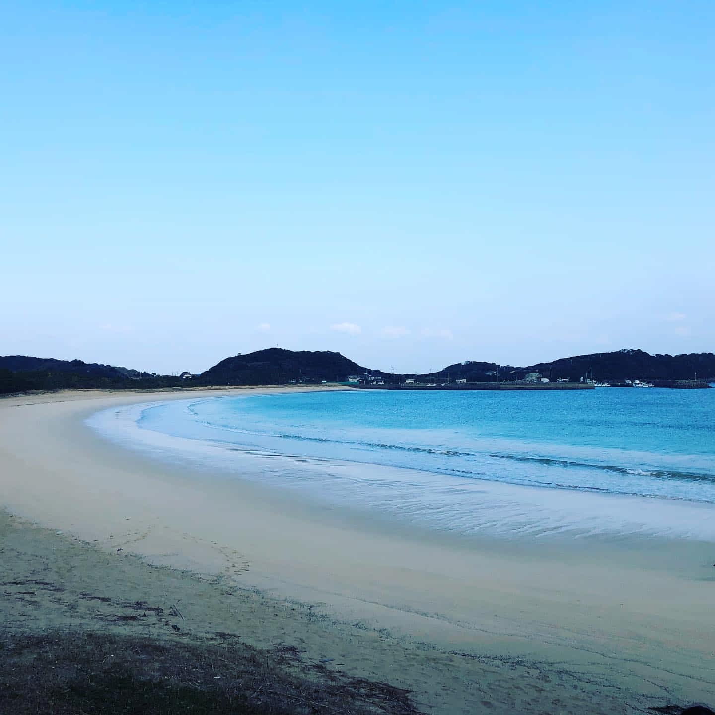 石橋俊介