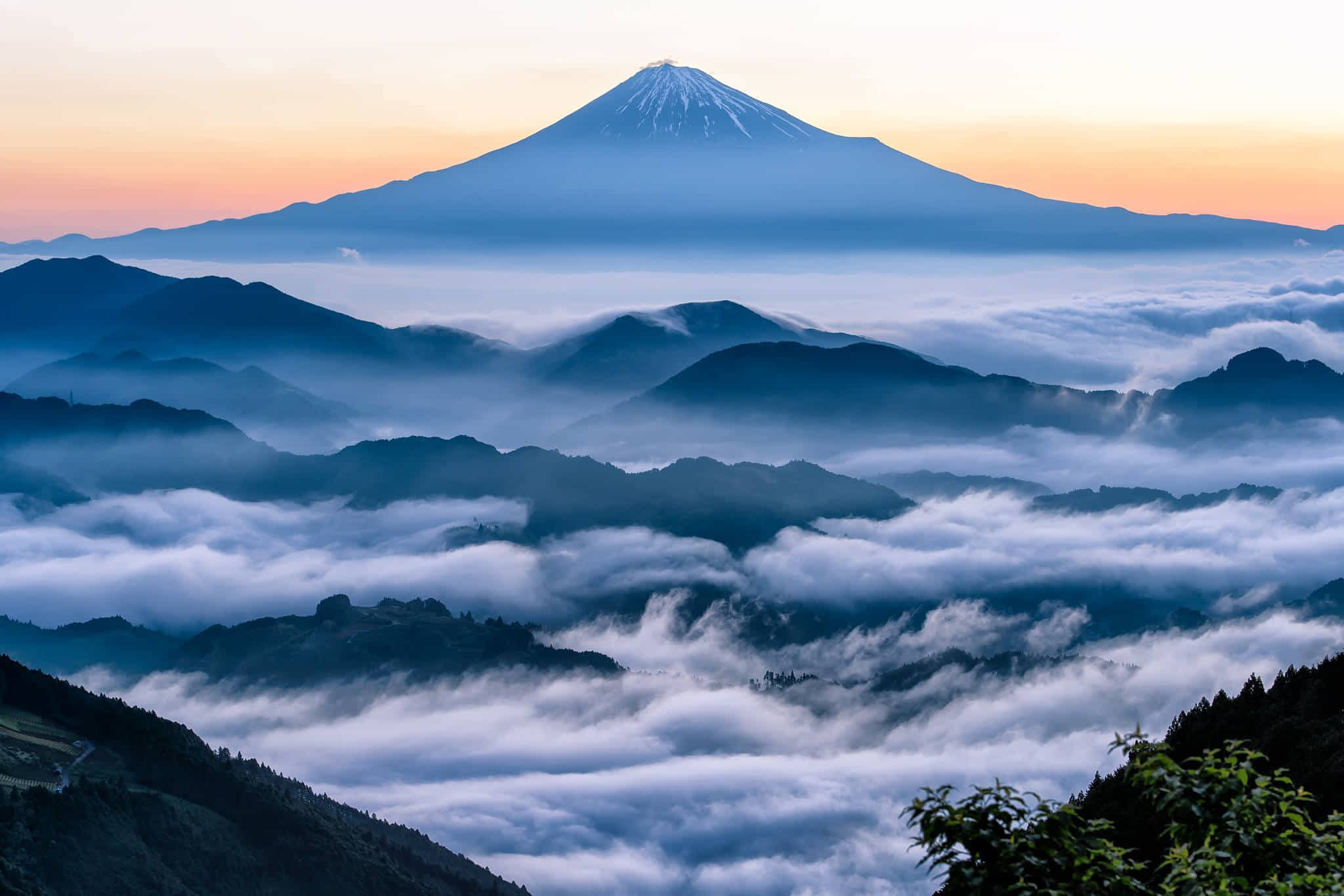 匿名希望